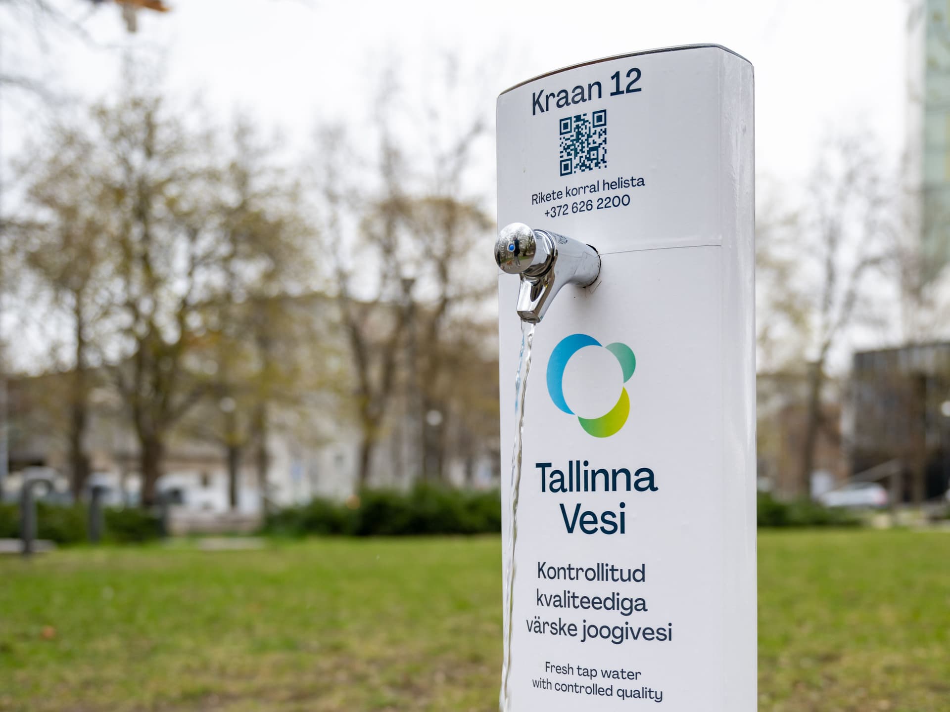 Public water dispenser with Tallinna Vesi logo and faucet in a green park setting.