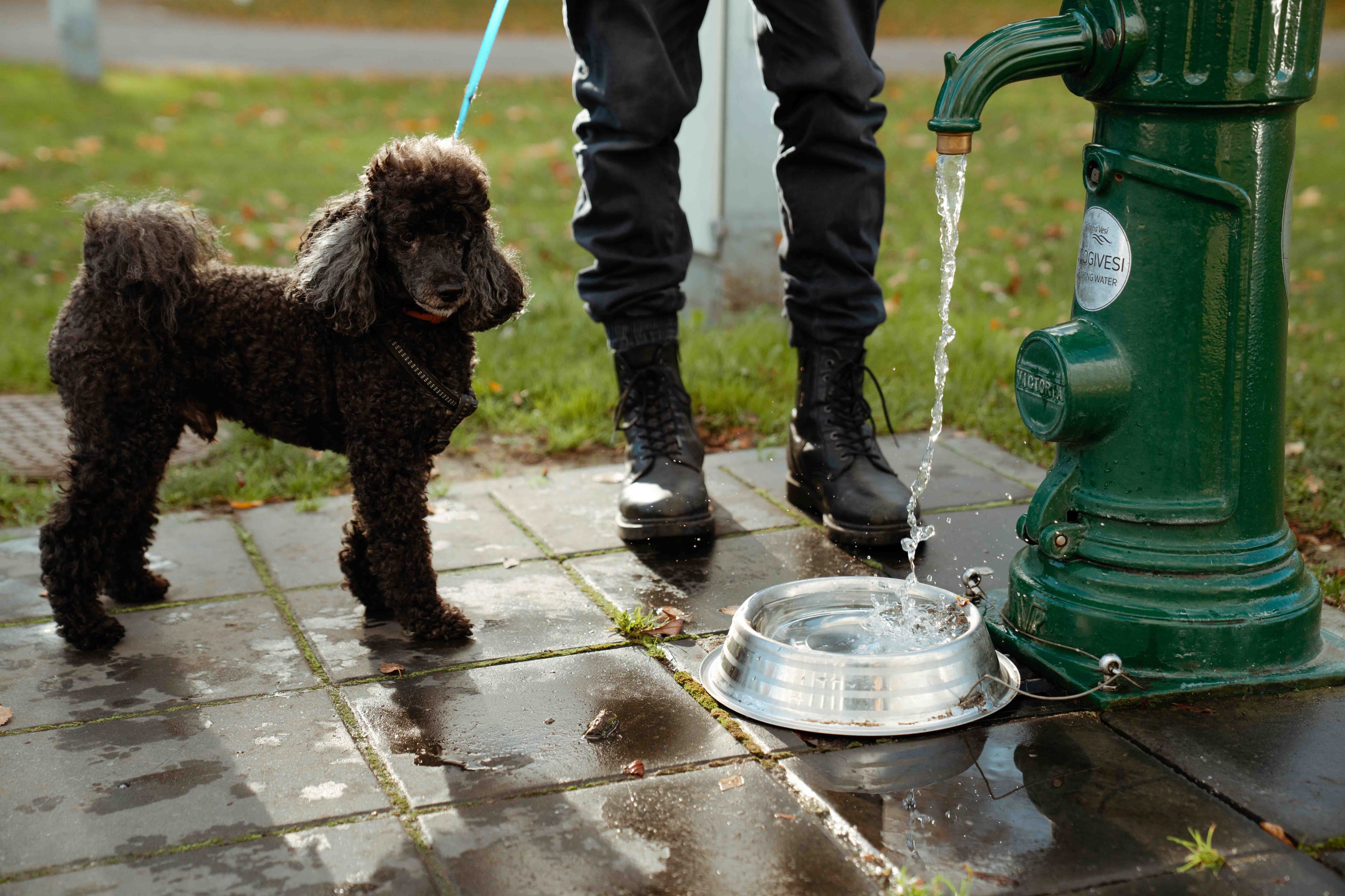 Panustame kestlikku homsesse